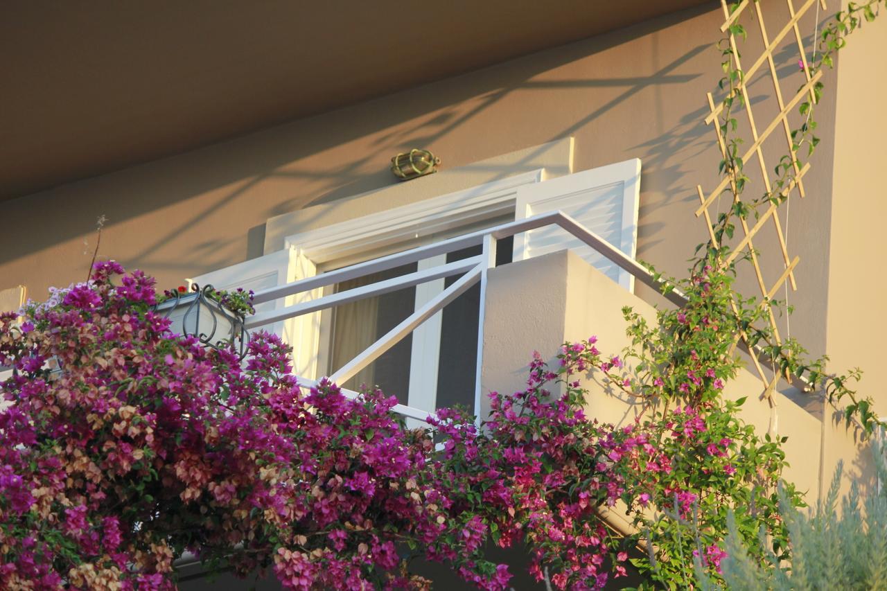 Myrto Homes Lefkada Agios Nikitas Greece 외부 사진